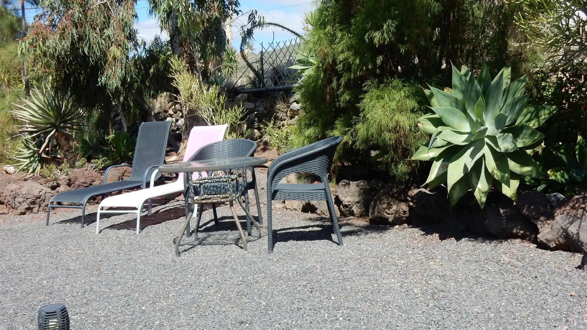 Finca Florida San Miguel de Abona Spain