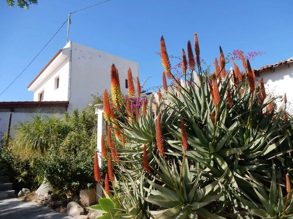 Apartment Finca Florida San Miguel de Abona Spain