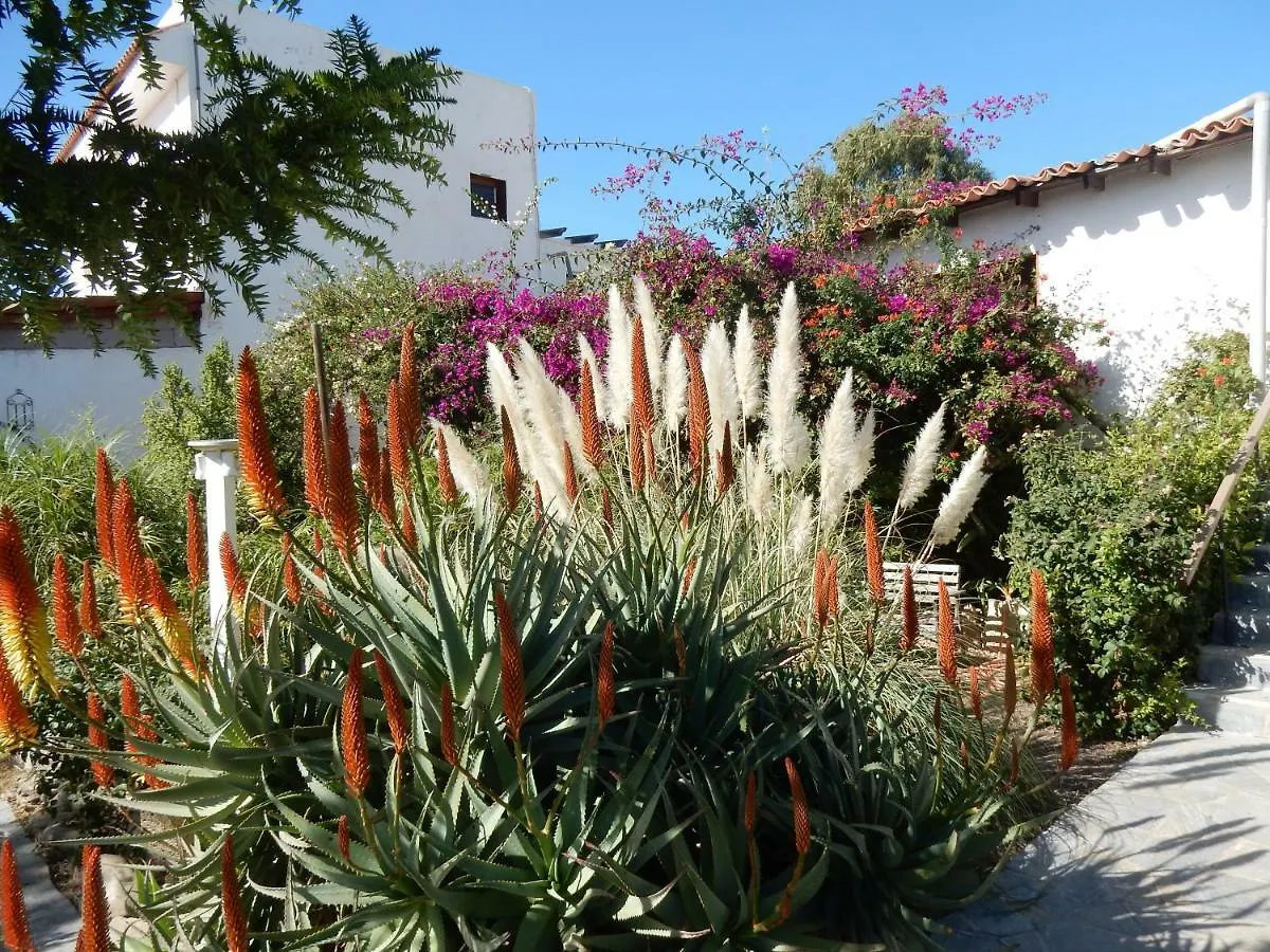 Finca Florida San Miguel de Abona