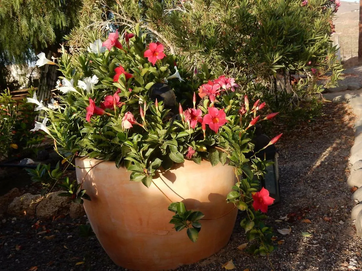 Finca Florida San Miguel de Abona Spain