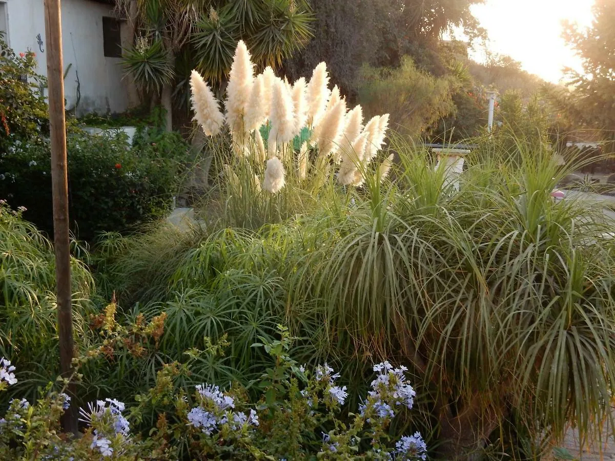 Finca Florida San Miguel de Abona 0*,  Spain