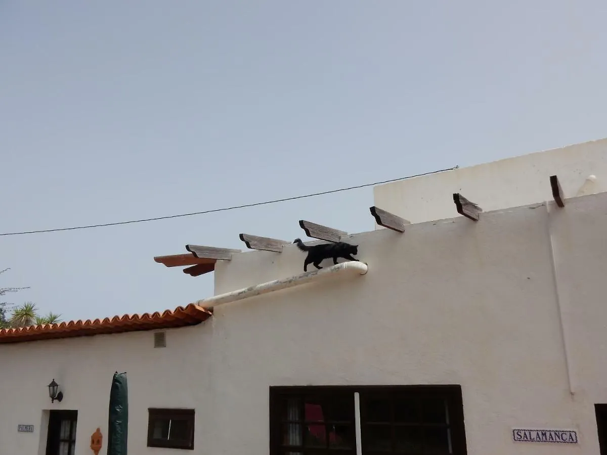Apartment Finca Florida San Miguel de Abona Spain