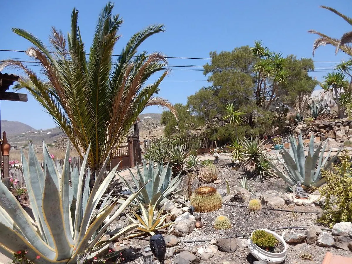 Apartment Finca Florida San Miguel de Abona Spain