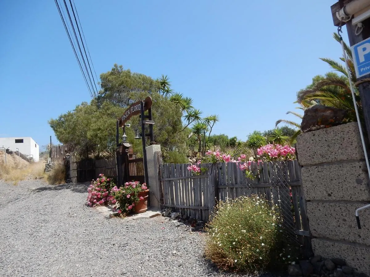 Finca Florida San Miguel de Abona Apartment